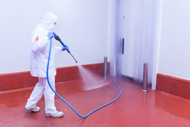 Best Pre-Holiday Cleaning  in La Marque, TX