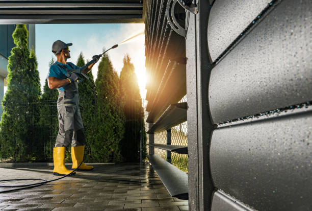 Best Sidewalk and Walkway Cleaning  in La Marque, TX