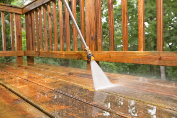 Best Animal Enclosure Cleaning  in La Marque, TX